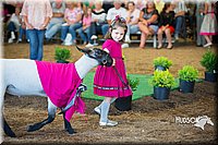 LCFAIR15-6817.jpg