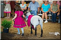 LCFAIR15-6818.jpg