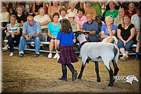 LCFAIR15-6826.jpg