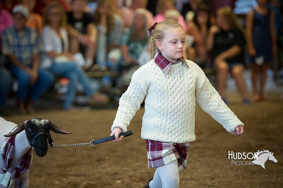 LCFAIR15-6858.jpg