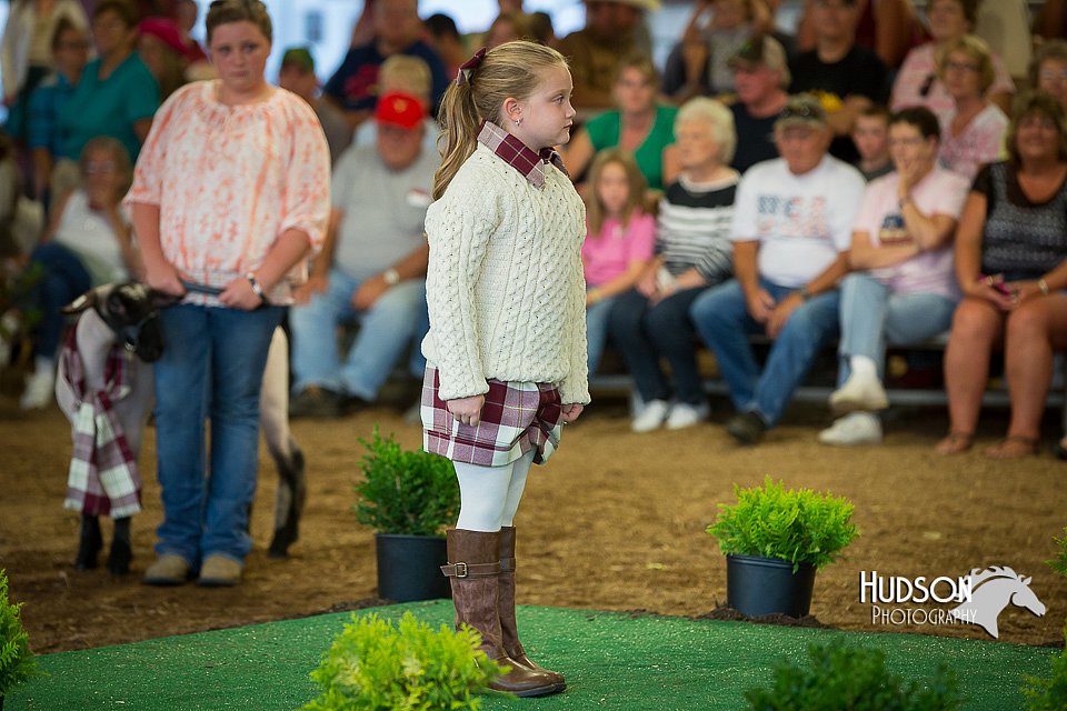 LCFAIR15-6866.jpg