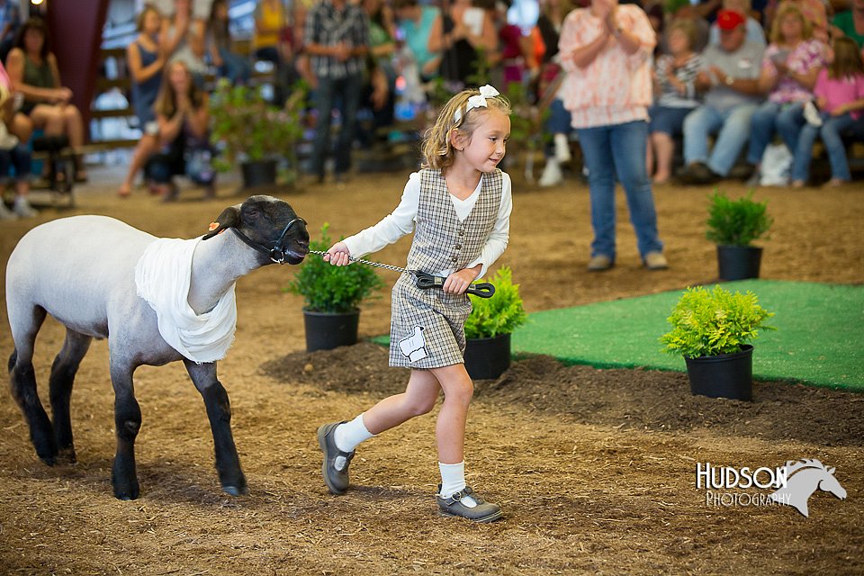 LCFAIR15-6910.jpg