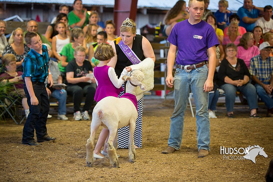 LCFAIR15-6915.jpg