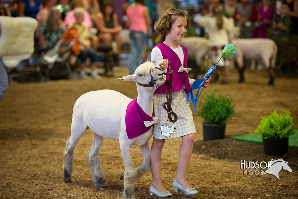 LCFAIR15-6918.jpg