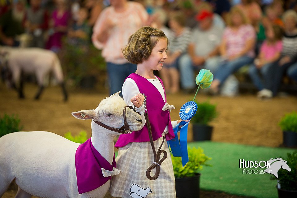 LCFAIR15-6919.jpg