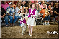 LCFAIR15-6841.jpg