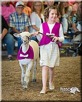 LCFAIR15-6842.jpg