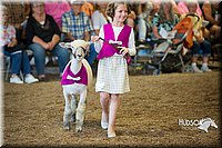 LCFAIR15-6843.jpg