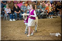 LCFAIR15-6850.jpg