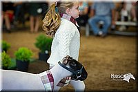 LCFAIR15-6869.jpg