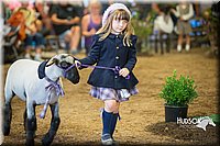 LCFAIR15-6889.jpg