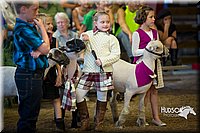 LCFAIR15-6896.jpg