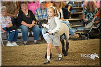 LCFAIR15-6899.jpg