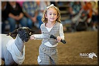 LCFAIR15-6901.jpg