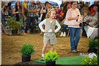 LCFAIR15-6907.jpg