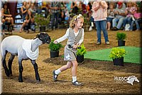 LCFAIR15-6910.jpg