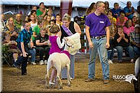 LCFAIR15-6914.jpg