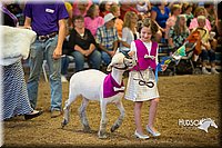 LCFAIR15-6917.jpg