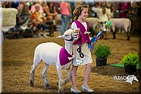 LCFAIR15-6918.jpg