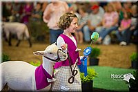 LCFAIR15-6919.jpg