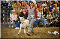 LCFAIR15-6923.jpg