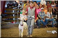 LCFAIR15-6924.jpg