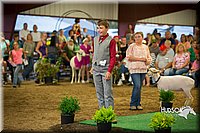 LCFAIR15-6928.jpg