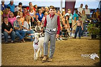 LCFAIR15-6930.jpg