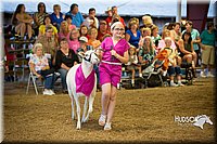 LCFAIR15-6933.jpg