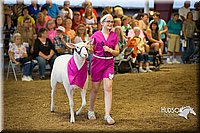 LCFAIR15-6934.jpg