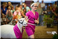 LCFAIR15-6935.jpg