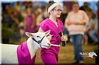 LCFAIR15-6936.jpg