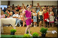 LCFAIR15-6937.jpg