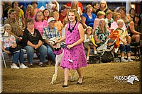 LCFAIR15-6943.jpg