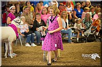 LCFAIR15-6944.jpg