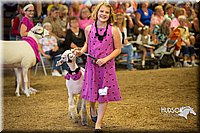 LCFAIR15-6946.jpg