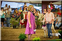 LCFAIR15-6953.jpg