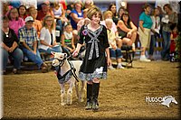 LCFAIR15-6970.jpg