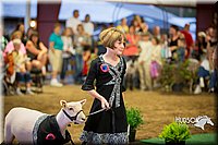 LCFAIR15-6972.jpg
