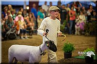 LCFAIR15-6985.jpg