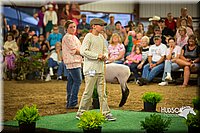 LCFAIR15-6990.jpg
