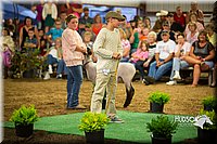 LCFAIR15-6991.jpg