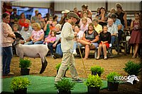 LCFAIR15-6992.jpg