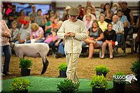 LCFAIR15-6994.jpg