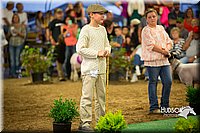 LCFAIR15-6997.jpg