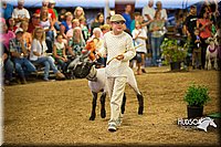LCFAIR15-6998.jpg