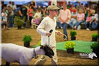LCFAIR15-7000.jpg