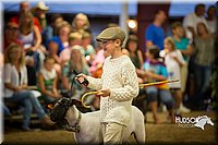 LCFAIR15-7002.jpg
