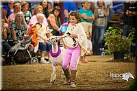 LCFAIR15-7003.jpg