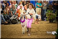 LCFAIR15-7004.jpg